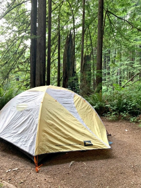 tent set up on site in Mill Creek Campground