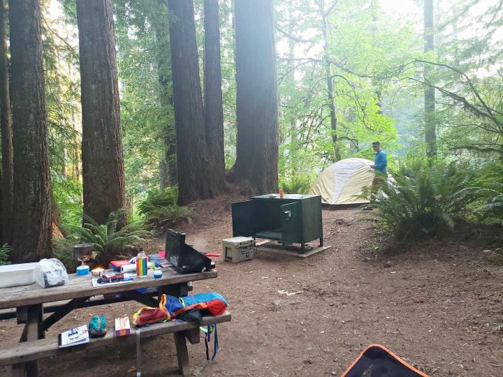 view of tent campsite at Mill Creek Campground in California