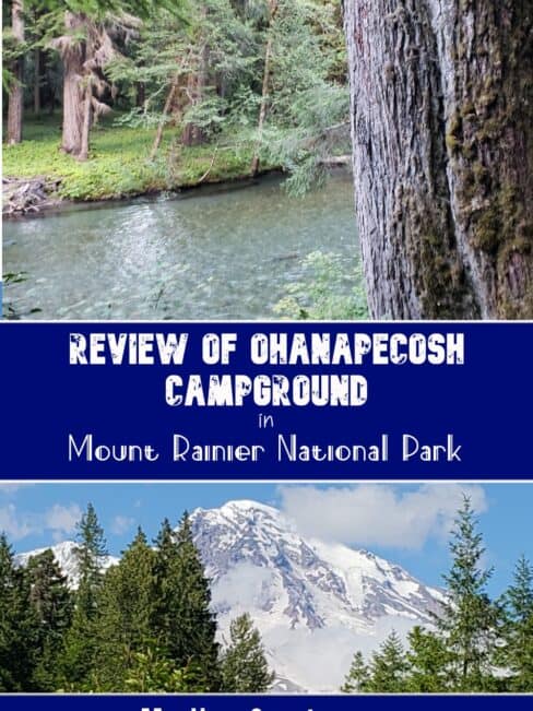 ohanapecosh river and mount rainier